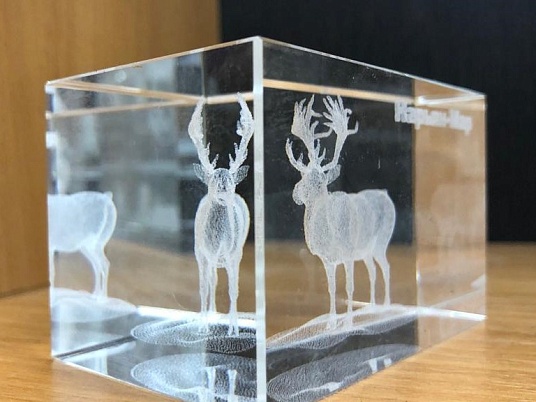 Объемная лазерная гравировка внутри стекла